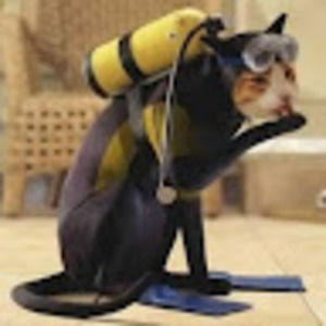 Meet your Posher, Gretchen